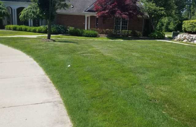 56429 SW Scotland photos photos