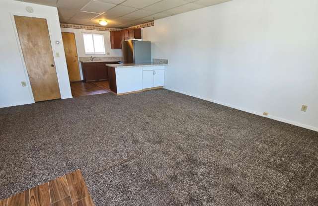 2 Bed 1 Bath Apartment in Historic Sparks Gallery 3
