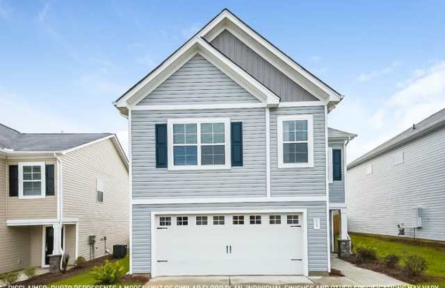 476 Red Poll Way - 476 Red Poll Way, Columbia, SC 29209