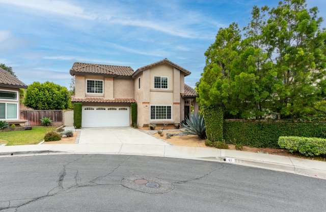 Beautifully Remodeled 4 Bedroom, 2.5 Bathroom Home In Aliso Viejo - 41 Royal Tern Lane, Aliso Viejo, CA 92656
