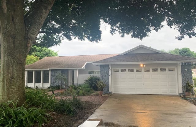 8213 GRANADA BOULEVARD - 8213 Granada Boulevard, Bay Hill, FL 32836