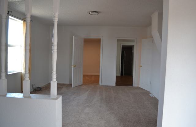 4494 Delaware Street - 4494 Delaware Street, Denver, CO 80216