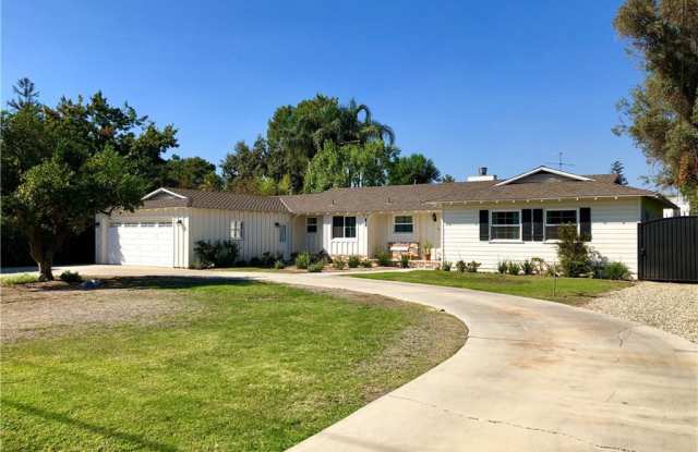 23051 Collins Street Gallery 4