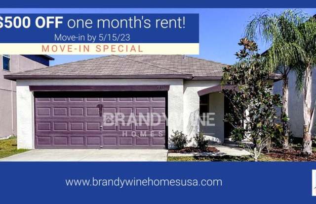 10402 Virginia Pine Court - 10402 Virginia Pine Court, Riverview, FL 33578