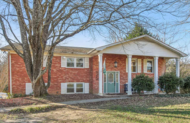 290 Lance Road - 290 Lance Road, Mills River, NC 28759