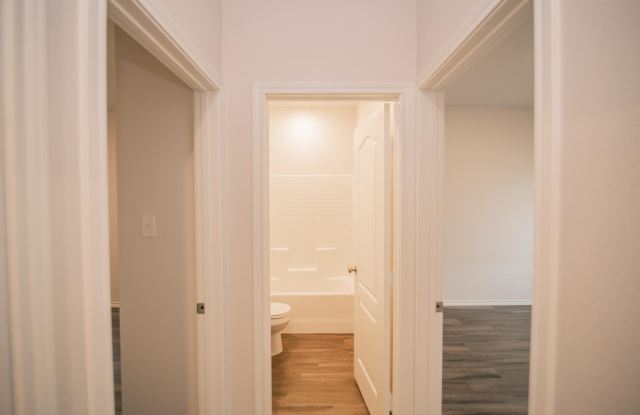 1123 Mission Creek Dr Gallery 4