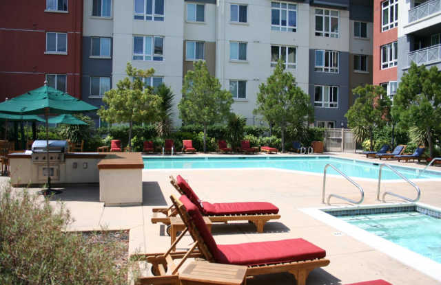 High End Condo on Top floor: High Ceilings- Hardwood floors- Gym- Dogs Welcome Only with Approval photos photos