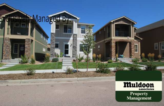 SEE ME TODAY! Beautiful 3 bedroom home that includes a loft area with two car garage Pikes Peak Views! Available Now! photos photos