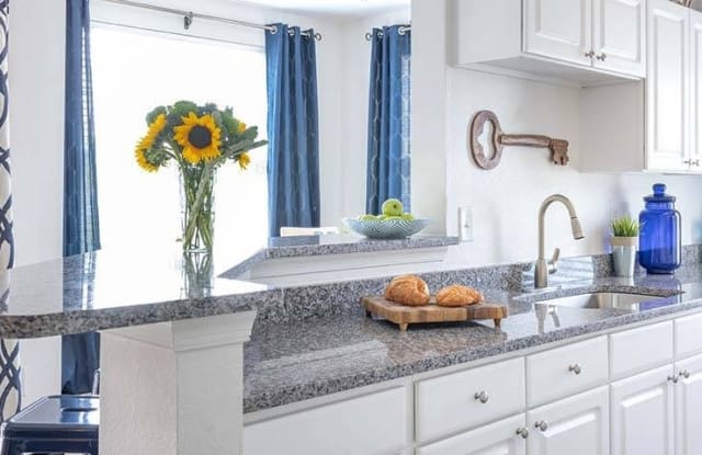 The Islands of Fox Chase photos photos