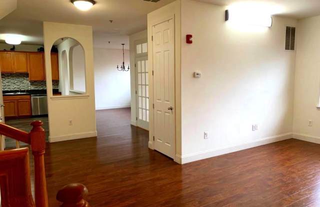358 SHANNON STREET Gallery 2