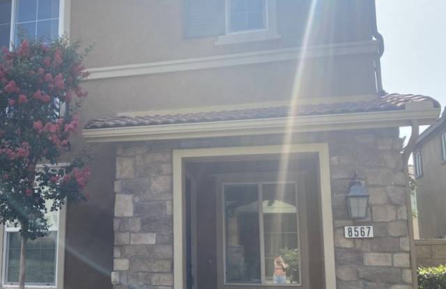 8567 Cava Drive Gallery 2