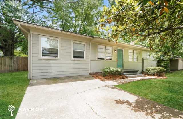 4127 Dearing Street Gallery 3