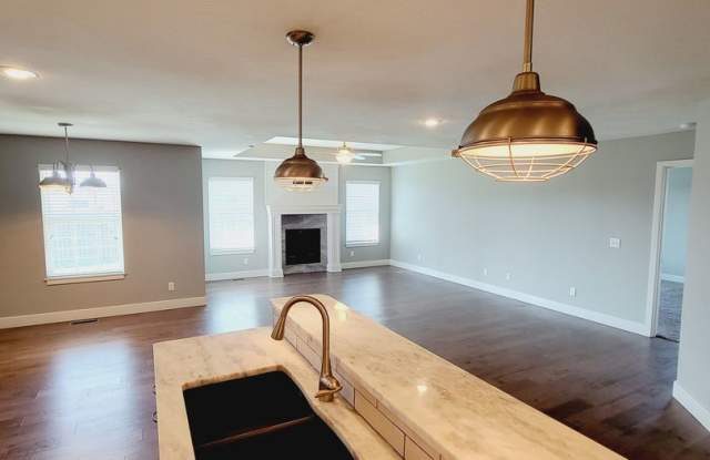 Luxuary in River Pointe Subdivision - Ozark! photos photos