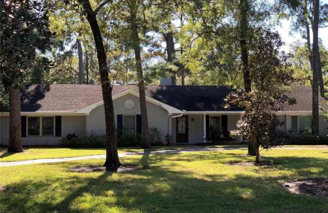 11601 Monica Street - 11601 Monica Street, Bunker Hill Village, TX 77024