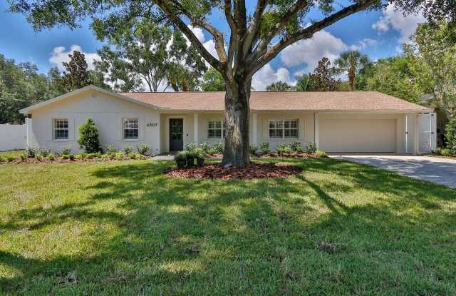 4307 W ROLAND STREET - 4307 West Roland Street, Tampa, FL 33609