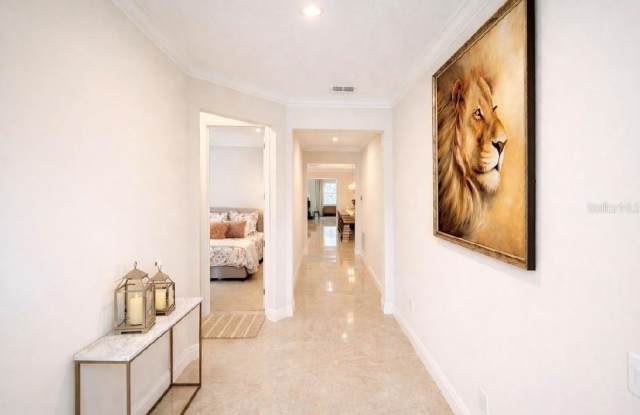 9241 PATRIMONIO Loop Gallery 2