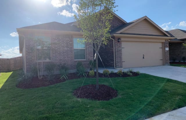 9341 Castorian Drive - 9341 Castorian Dr, Fort Worth, TX 76131