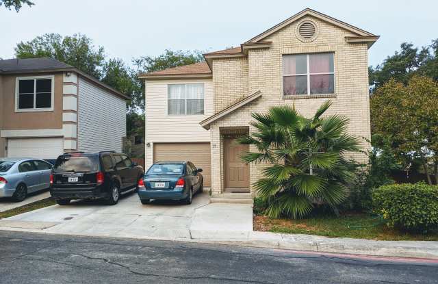 19 Fannin Post - 19 Fannin Post, San Antonio, TX 78240