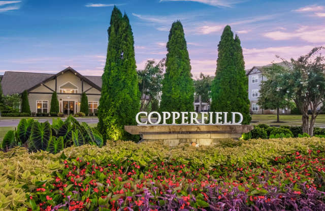Copperfield photos photos