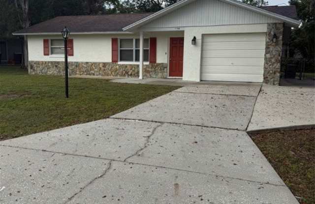 3154 N Maidencane Drive - 3154 North Maidencane Drive, Beverly Hills, FL 34465