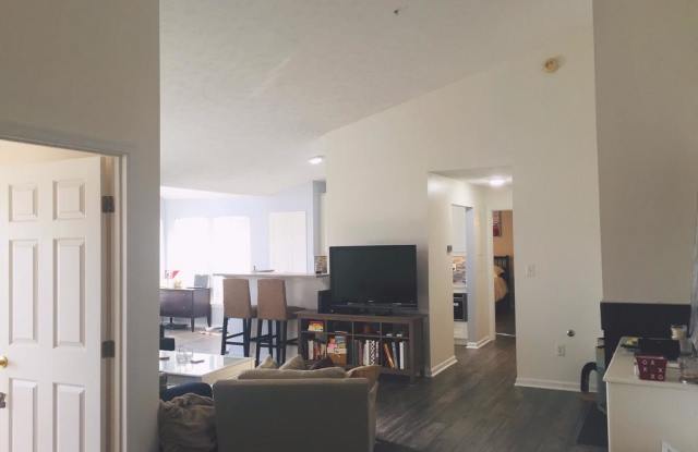 2441 BLUE SPRING CT #303 Gallery 2