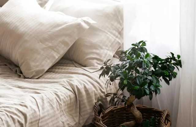 Maya at White Rock photos photos Maya at White Rock photos photos