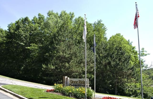 Stone Ridge Apartments Gallery 3