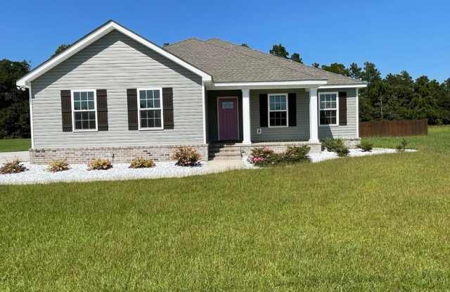 491 Coley Boyd Rd. - 491 Coley Boyd Road, Bulloch County, GA 30458