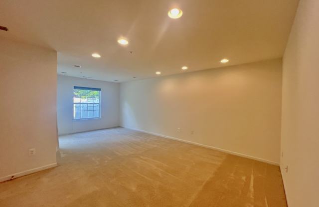 11620 Amaralles Dr Gallery 4