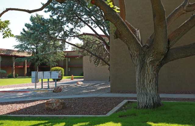 Vista Village Gallery 3