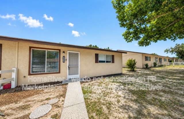 459 E Rosewood Ln - 459 East Rosewood Lane, Tavares, FL 32778