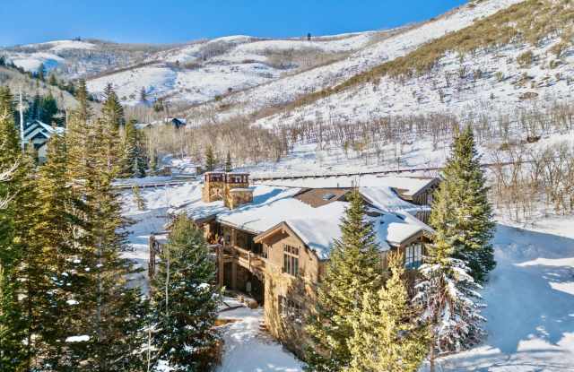 2520 Bear Hollow Drive Gallery 4
