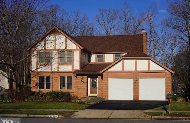 12568 QUINCY ADAMS COURT - 12568 Quincy Adams Court, Franklin Farm, VA 20171