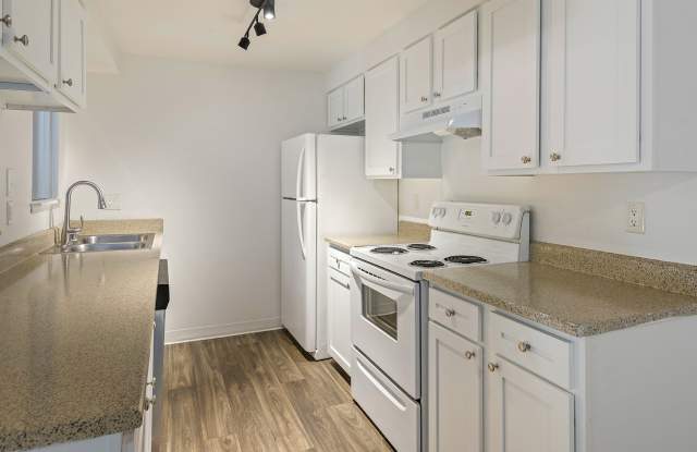 Alvista 240 Gallery 2