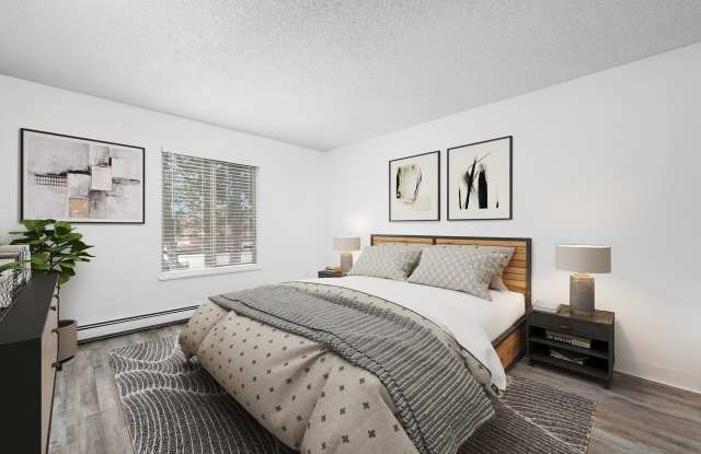 North Star Apartments - Beautiful Remodeled Apartments Gallery 2
