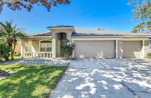 2951 HICKORY GROVE DRIVE - 2951 Hickory Grove Drive, Valrico, FL 33596