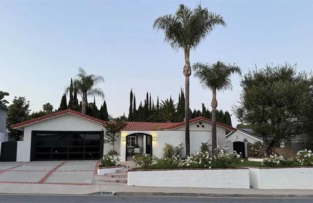 26351 Tarrasa Lane Gallery 1