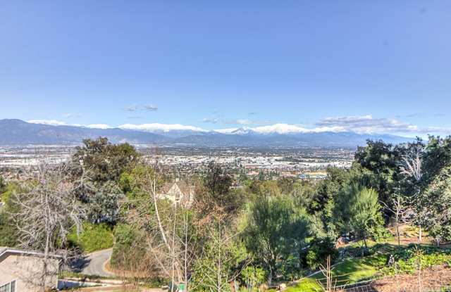 14873 Edgeridge Drive Gallery 2