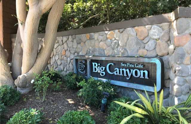 49 Canyon Island Drive - 49 Canyon Island Drive, Newport Beach, CA 92660
