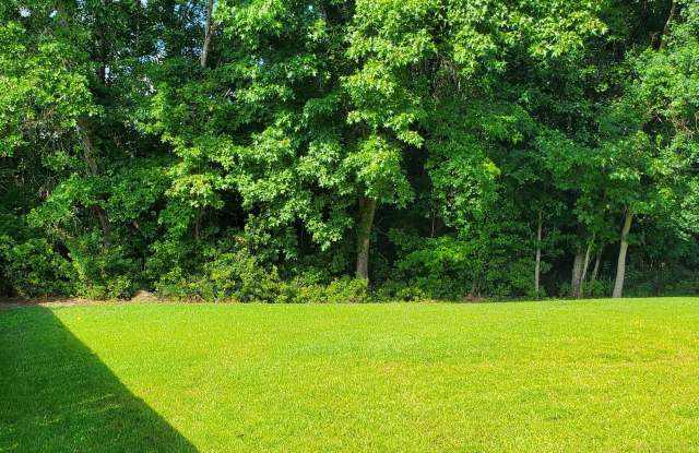 103 Salem Creek Drive Gallery 3