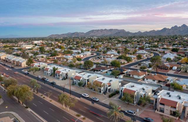 Two Two Cactus photos photos