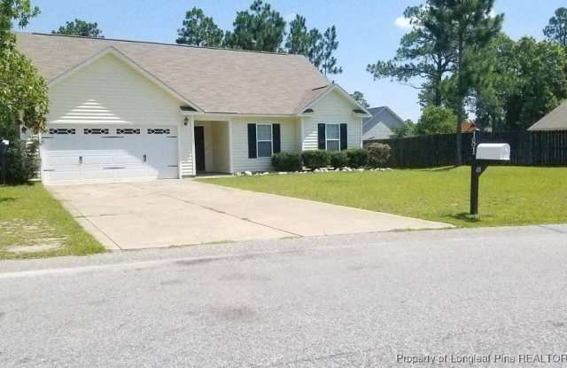 181 Maria Drive - 181 Maria Drive, Hoke County, NC 28376