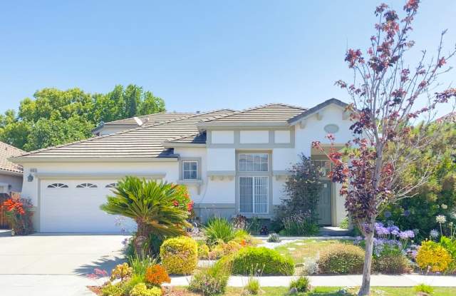 Gorgeous 4 bed 4 Bath home with enclosed Loft that can be used a 5th bedroom photos photos