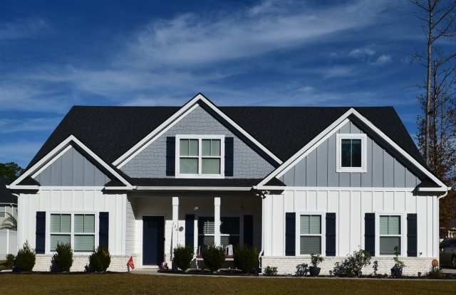 Beautiful 5 bed/3 bath home in Blandford Crossing - 134 Blandford Crossing, Effingham County, GA 31326 Beautiful 5 bed/3 bath home in Blandford Crossing - 134 Blandford Crossing, Effingham County, GA 31326