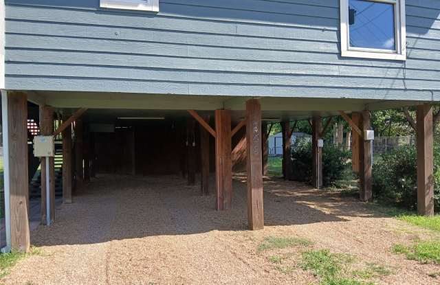 242 AUTUMN WOOD Trail Gallery 4