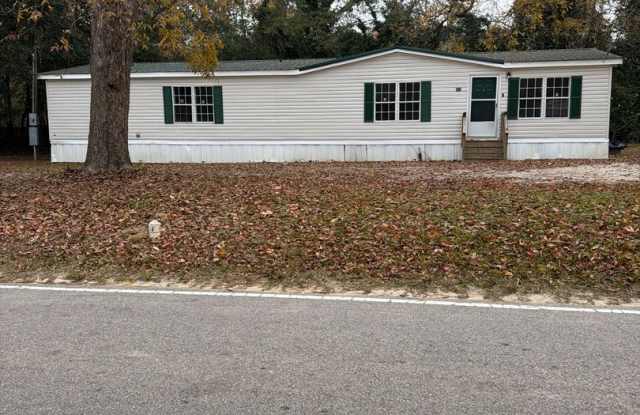 Home For Rent - 225 North Metts Street, St. George, SC 29477