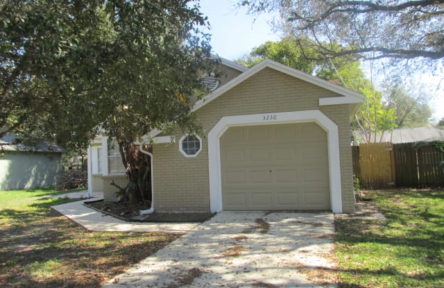 3230 Carlsbad St - 3230 Carlsbad Street, Pasco County, FL 34655