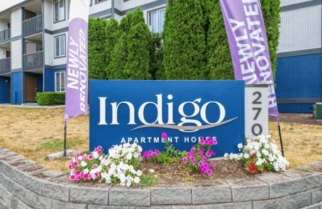 Indigo photos photos