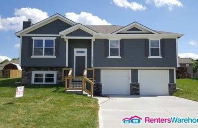 1107 Sunflower St - 1107 Sunflower St, Smithville, MO 64089