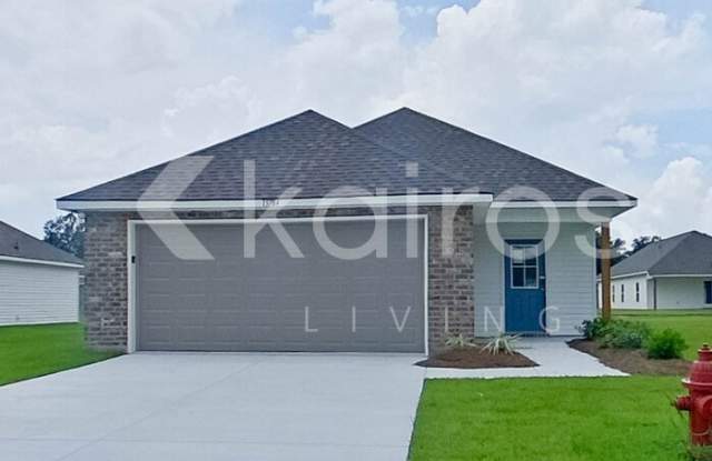 13784 Pinyon Drive - 13784 Pinyon Drive, Livingston County, LA 70726